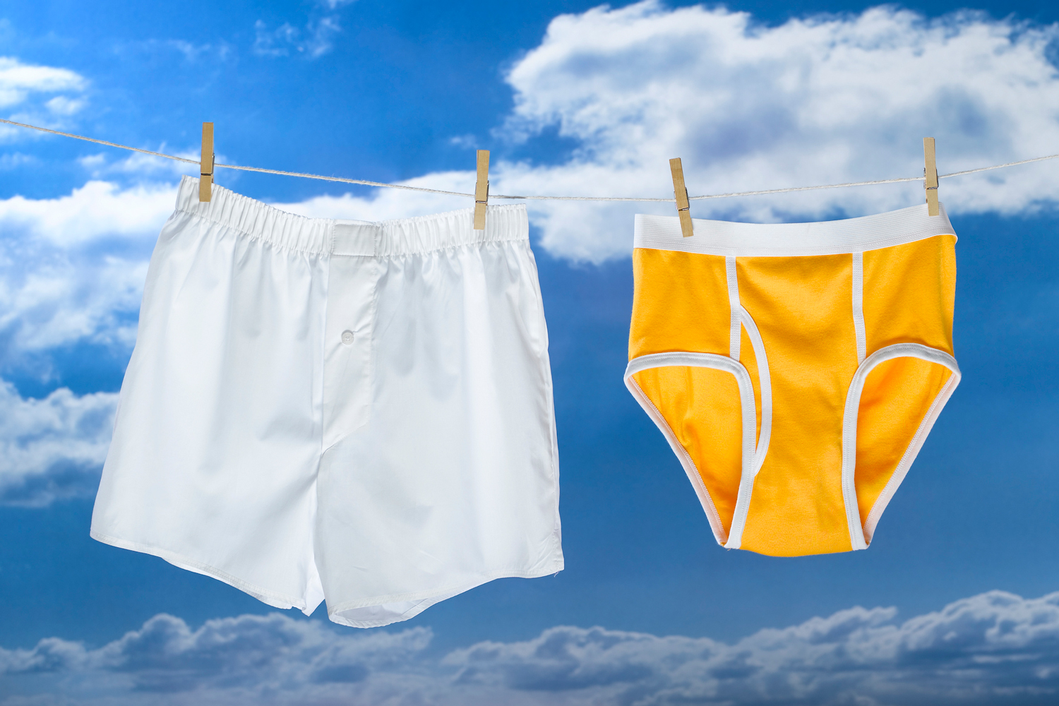 boxes or briefs