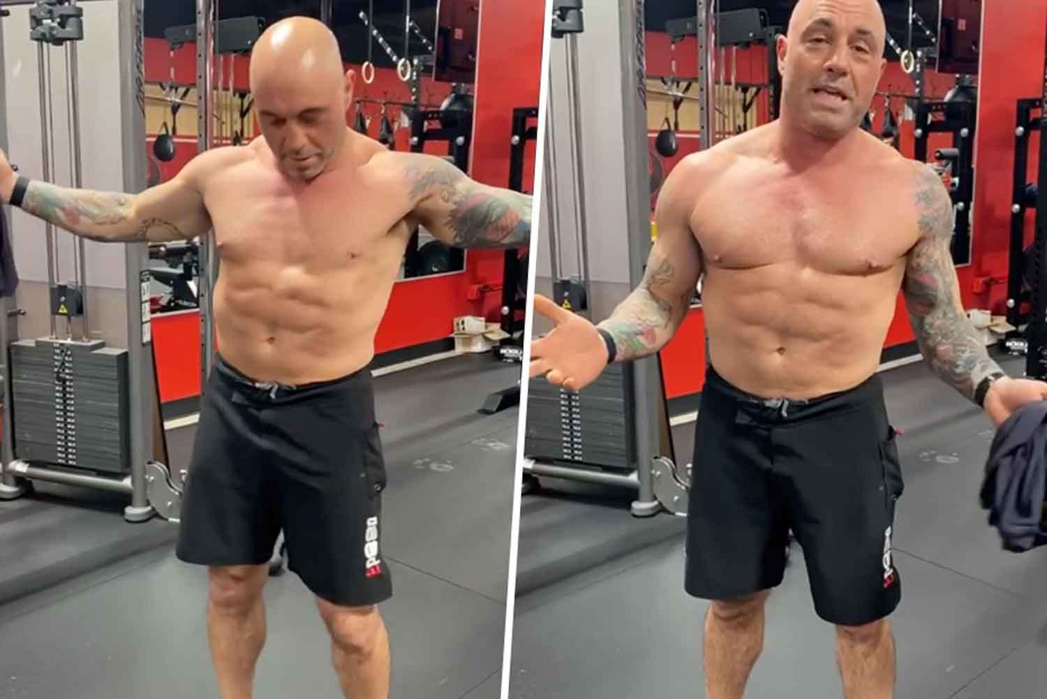 Joe Rogan Age Height Weight Kinna Merrili