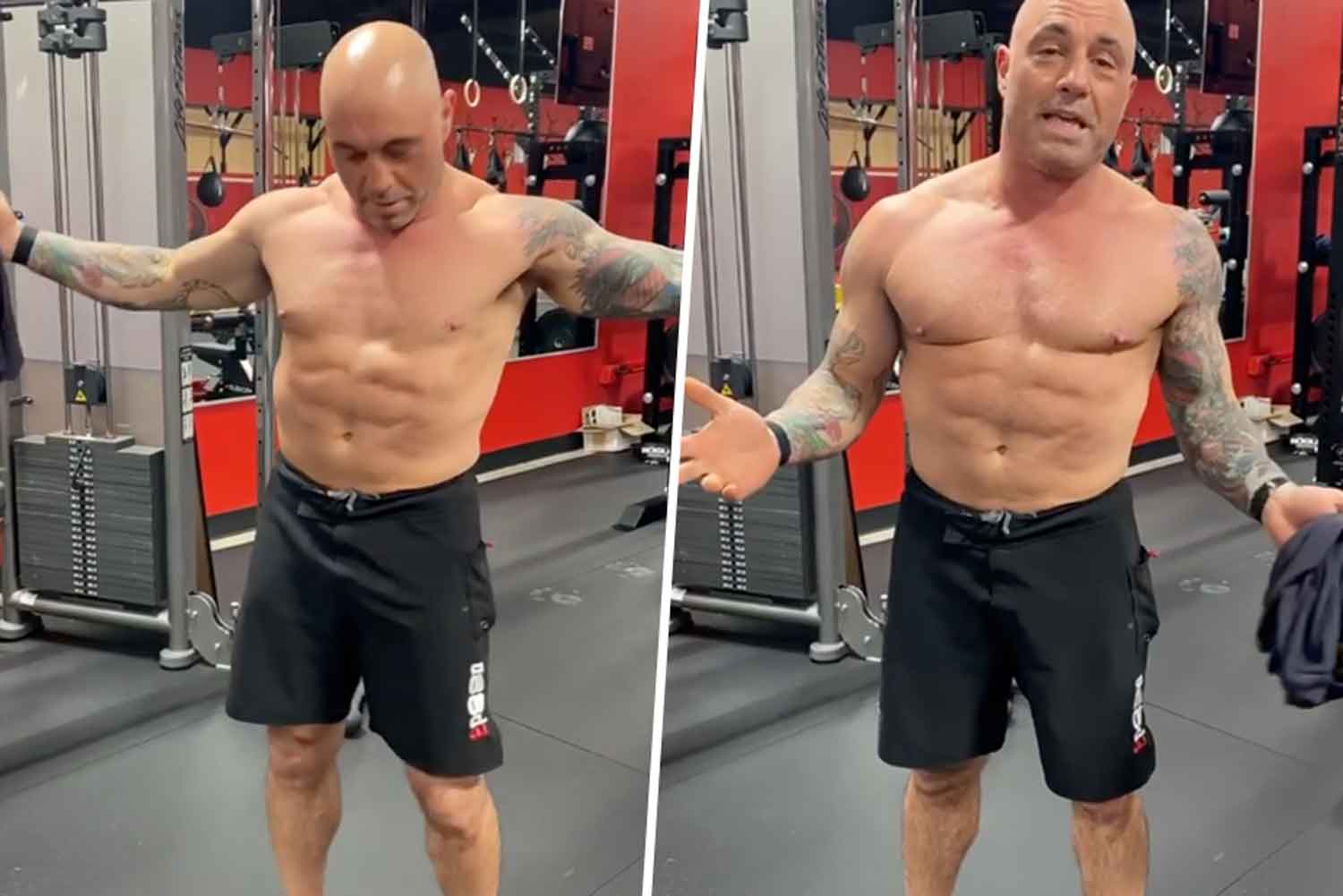 Joe Rogan Has Dropped 6 Kg After Following The Carnivore Diet For A Month