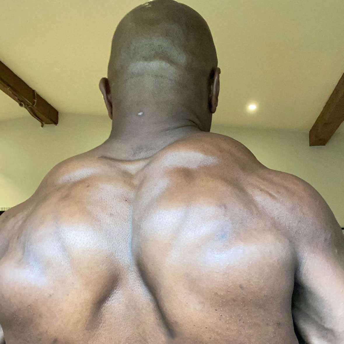 Terry Crews Back