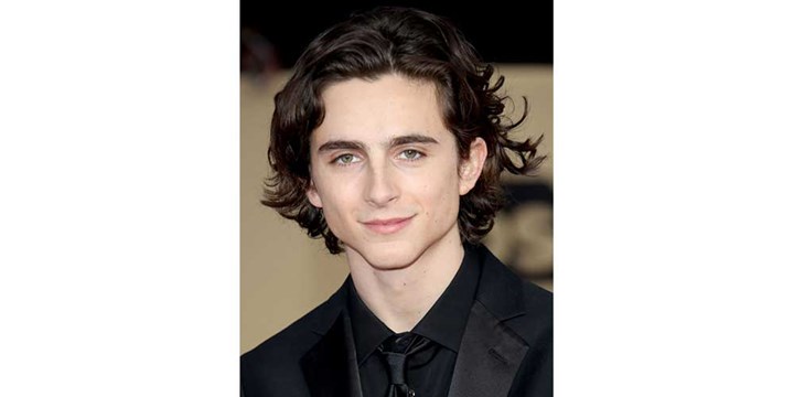 Timothy Chalamet Hair