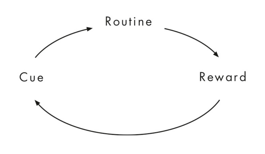 The Science Behind Breaking Unhealthy Habits The Science Behind Breaking Unhealthy Habits