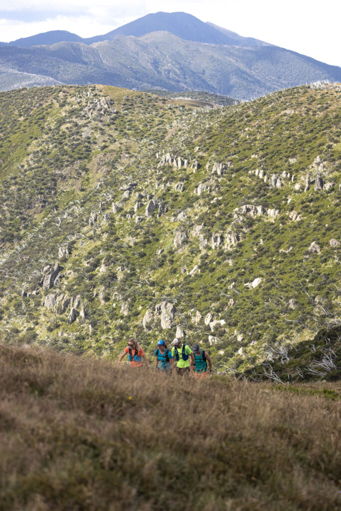 Four people wearing hi9king gear walk through grass on Victoria's Mt Hotham, set against a backdrop of the aline region.
